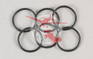O-ring for Adjustable Ring 6 Pcs. (FGM 07095/01)
