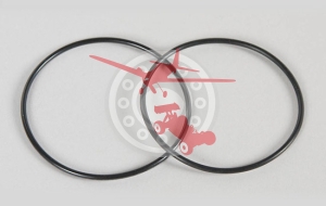 O Rings 2 Pcs. (FGM 08489)
