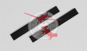 Heat Shrink Tube 2 Pcs. (FGM 08496/03)