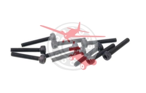 SG 2x12 Cap Screw 10 Pcs. (MUG B0667)