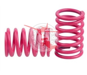 Rear Spring f2.0 2 Pcs. Pink (MUG H0531)