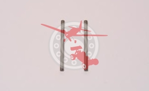 Inner Hingepins 2 Pcs. (COR 79111)